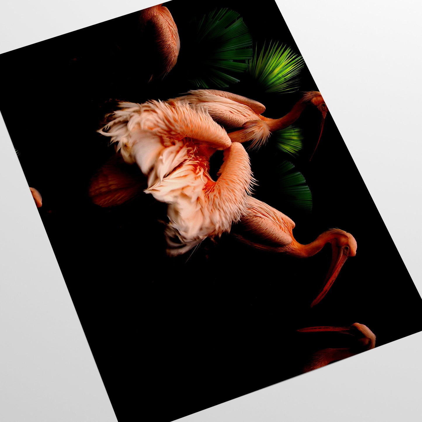 Exotic Flamingo Cabinet Liner – Eco-Friendly Decorative Paper for Drawers and Furniture