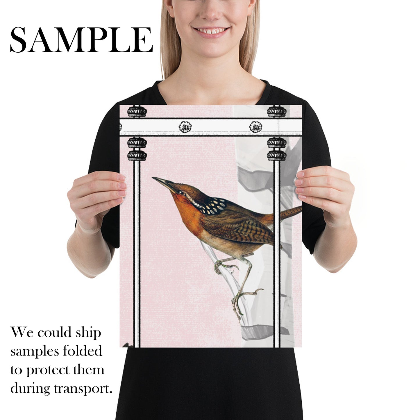 Extra Large Birds and Birch Trees Wallpaper