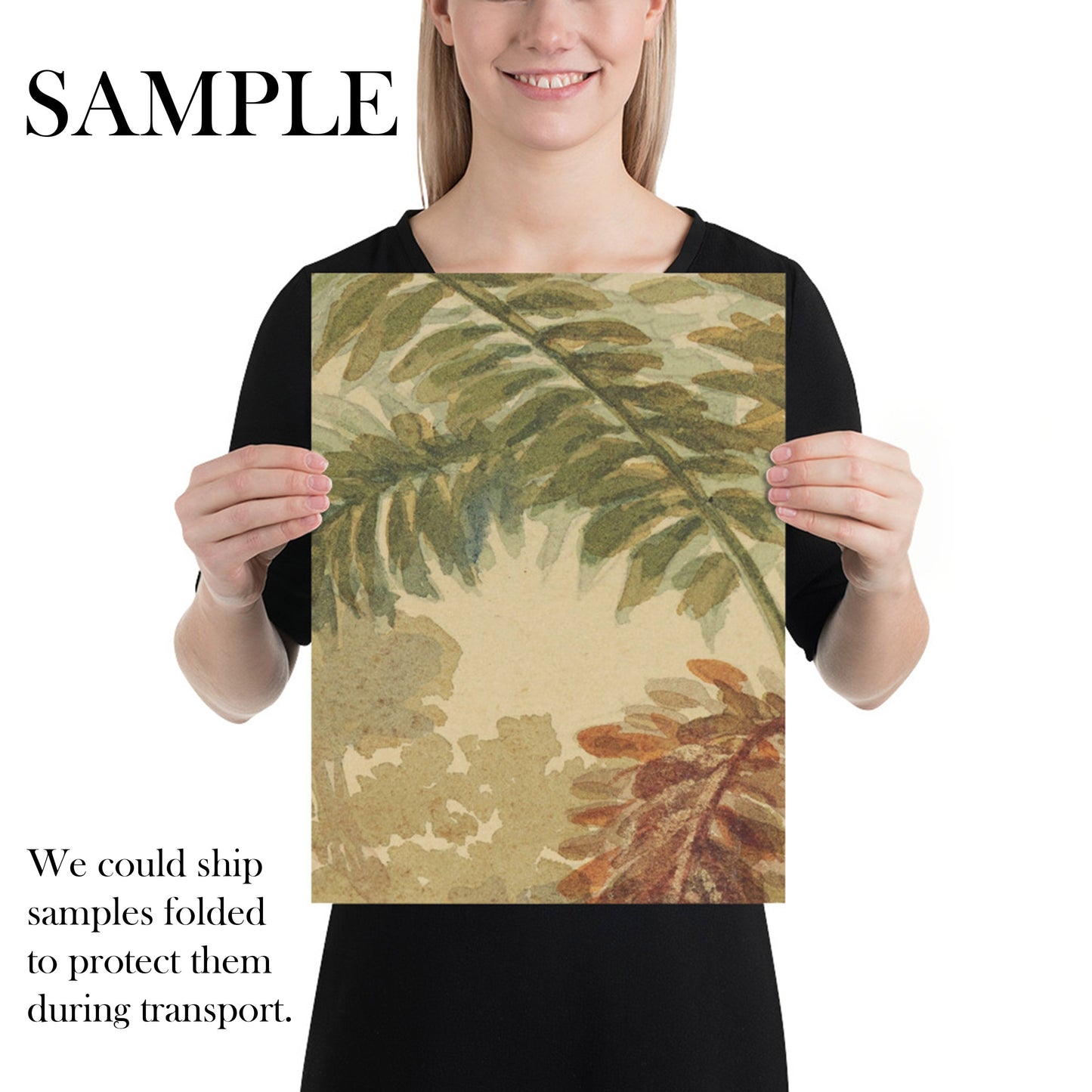 Vegetação Tropical Wallpaper