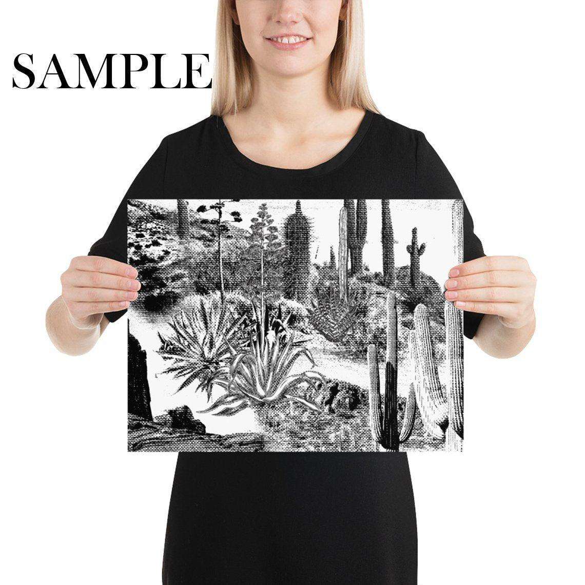 Cactus Landscape Wallpaper <br> ★★★★★ - WallpapersforBeginners