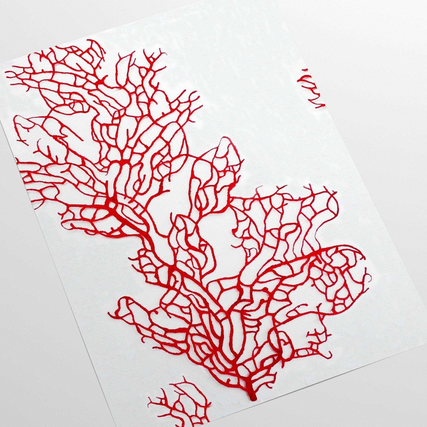 Red Coral Wallpaper <br> ★★★★★ - WallpapersforBeginners