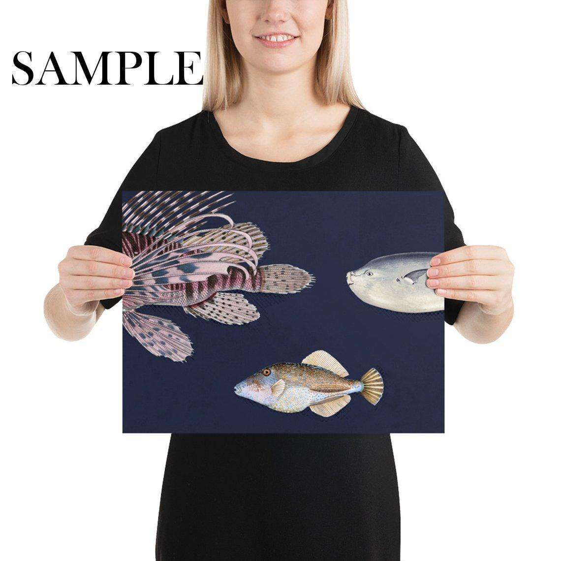 Tropical Fish Wallpaper <br> ★★★★★ - WallpapersforBeginners