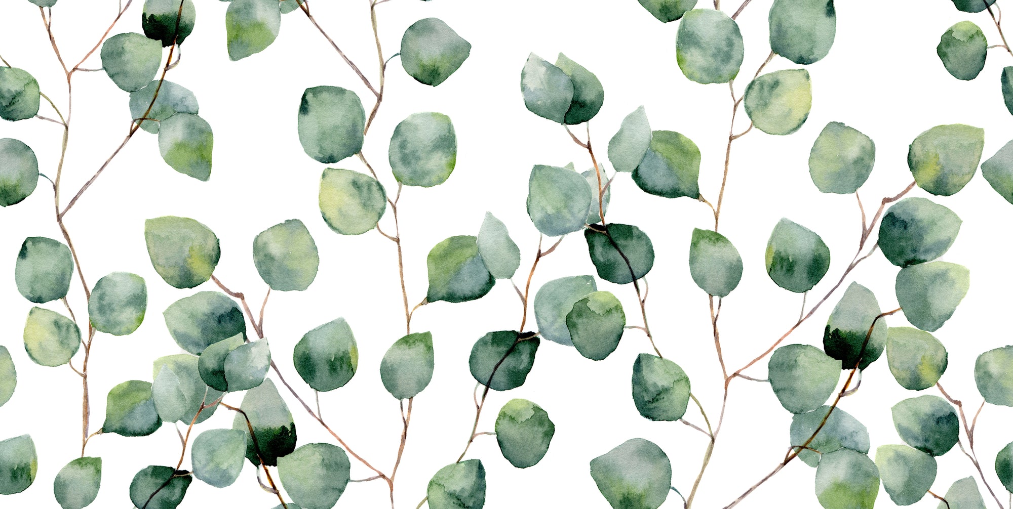 Transform Your Home into a Serene Sanctuary with Eucalyptus Wallpaper ...