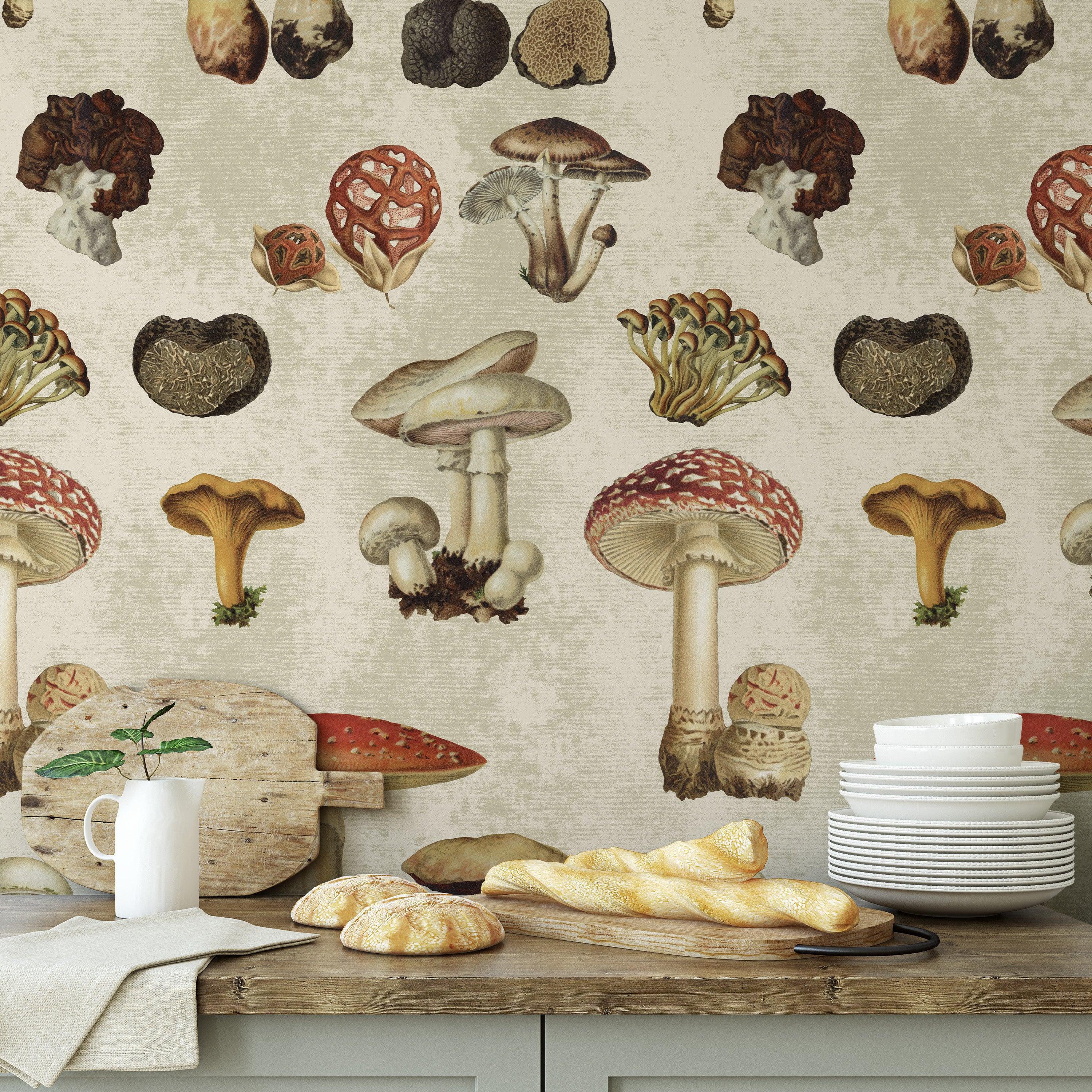 Mushroom Wallpaper – Wallpapers4Beginners