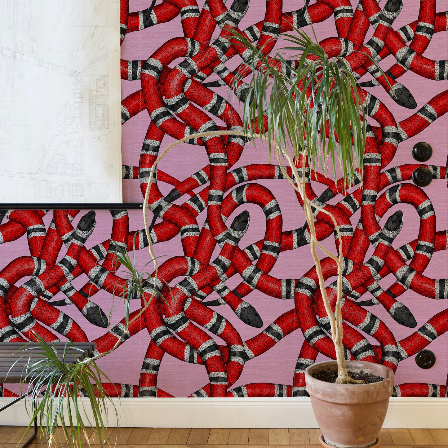 Pink Snake Wallpaper