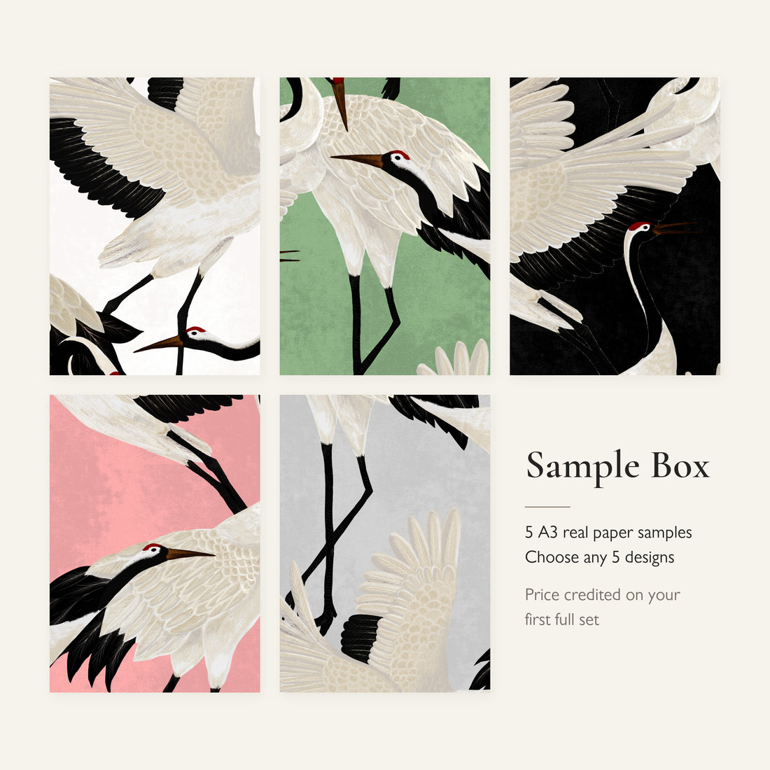 Sample Box: 5 Real Paper Wallpaper Samples (A3) | Wallpapers4Beginners