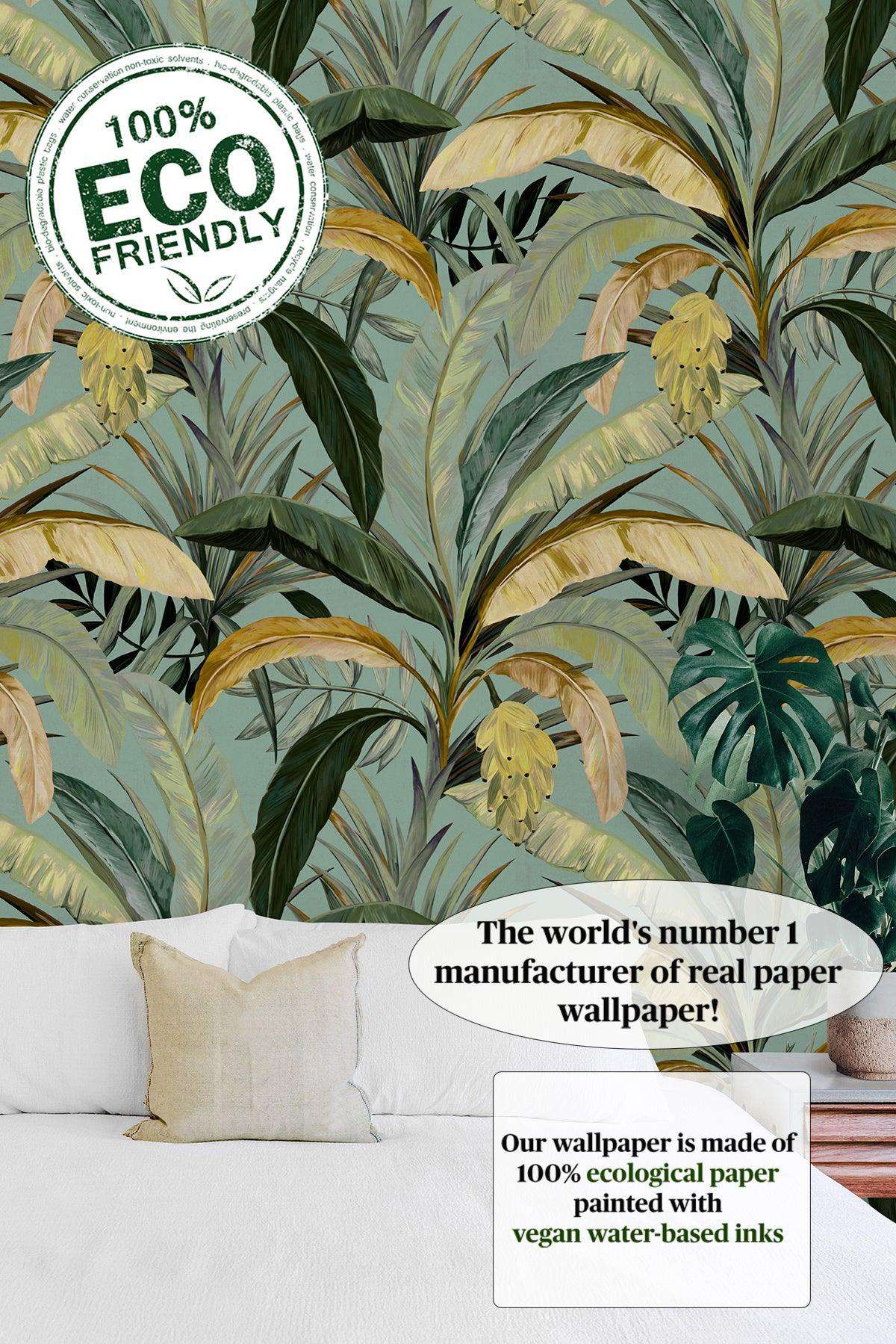 Banana Plant Wallpaper Wallpapers4Beginners