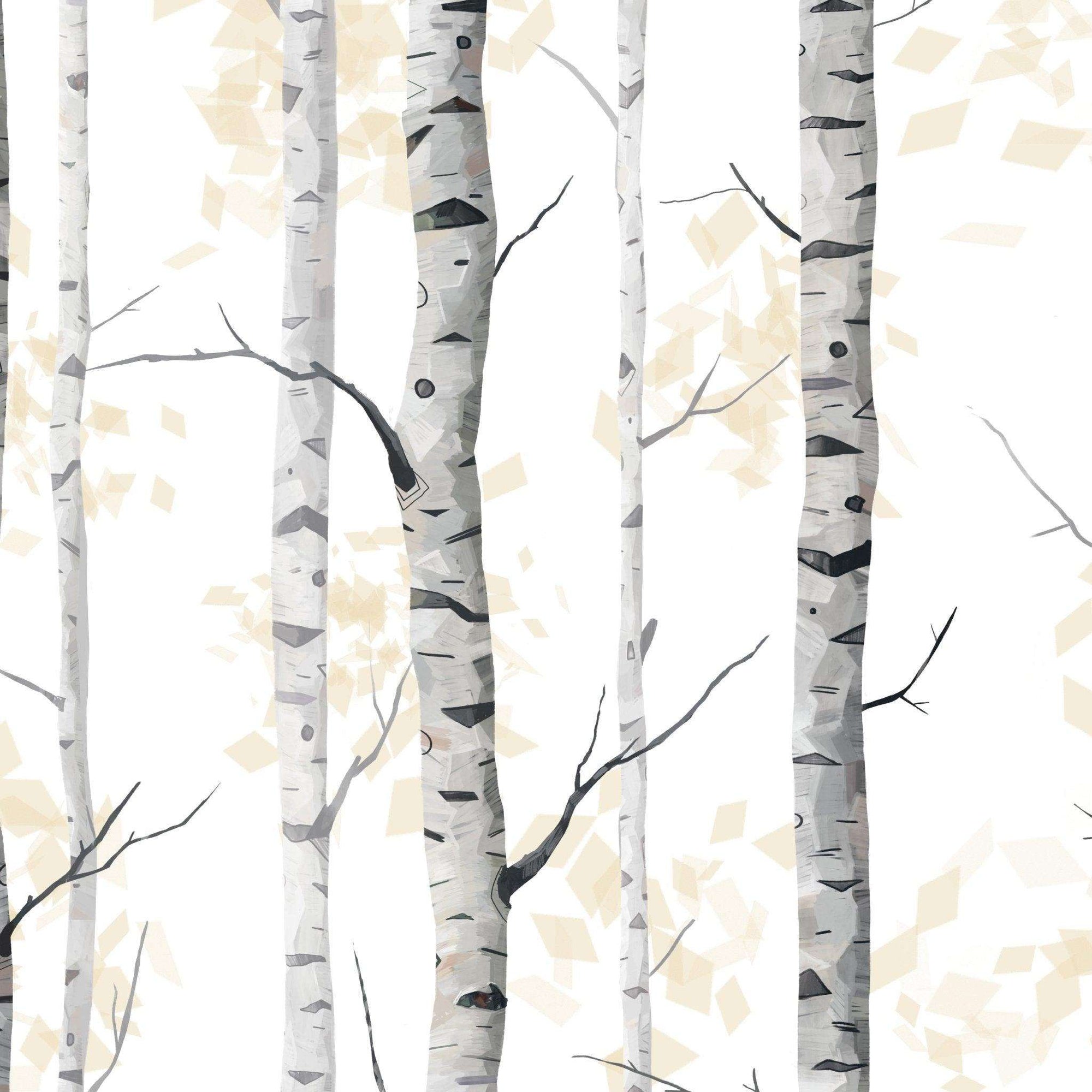 Birchwood Wallpaper Wallpapers4Beginners birchwood-wallpaper-wallpapers4beginners