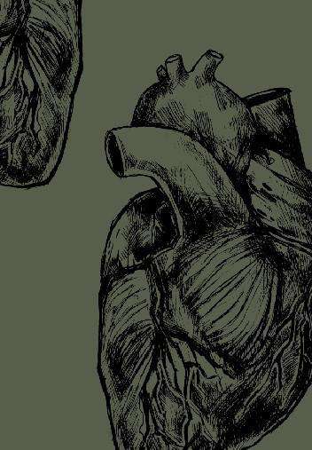 Custom Wallpaper - WallpapersforBeginners