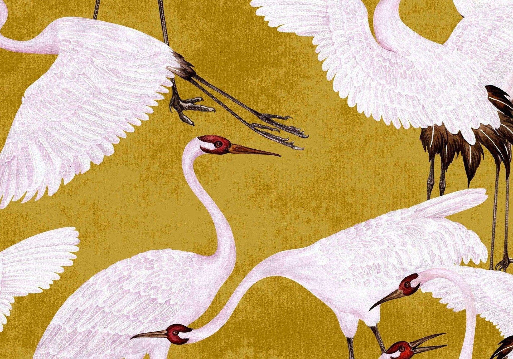 Custom Wallpaper - WallpapersforBeginners