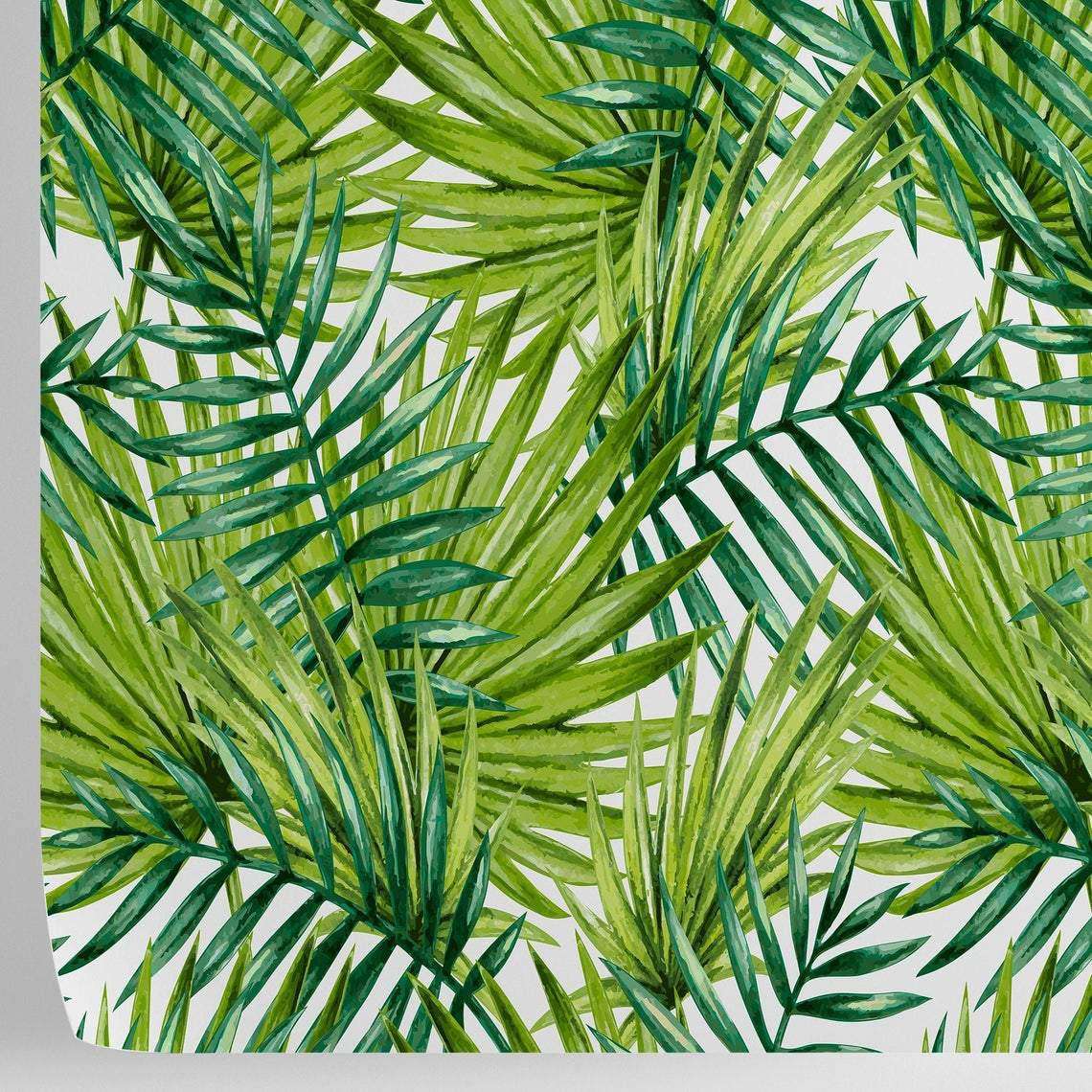 Tropical Forest Wallpaper <br> ★★★★★ - WallpapersforBeginners