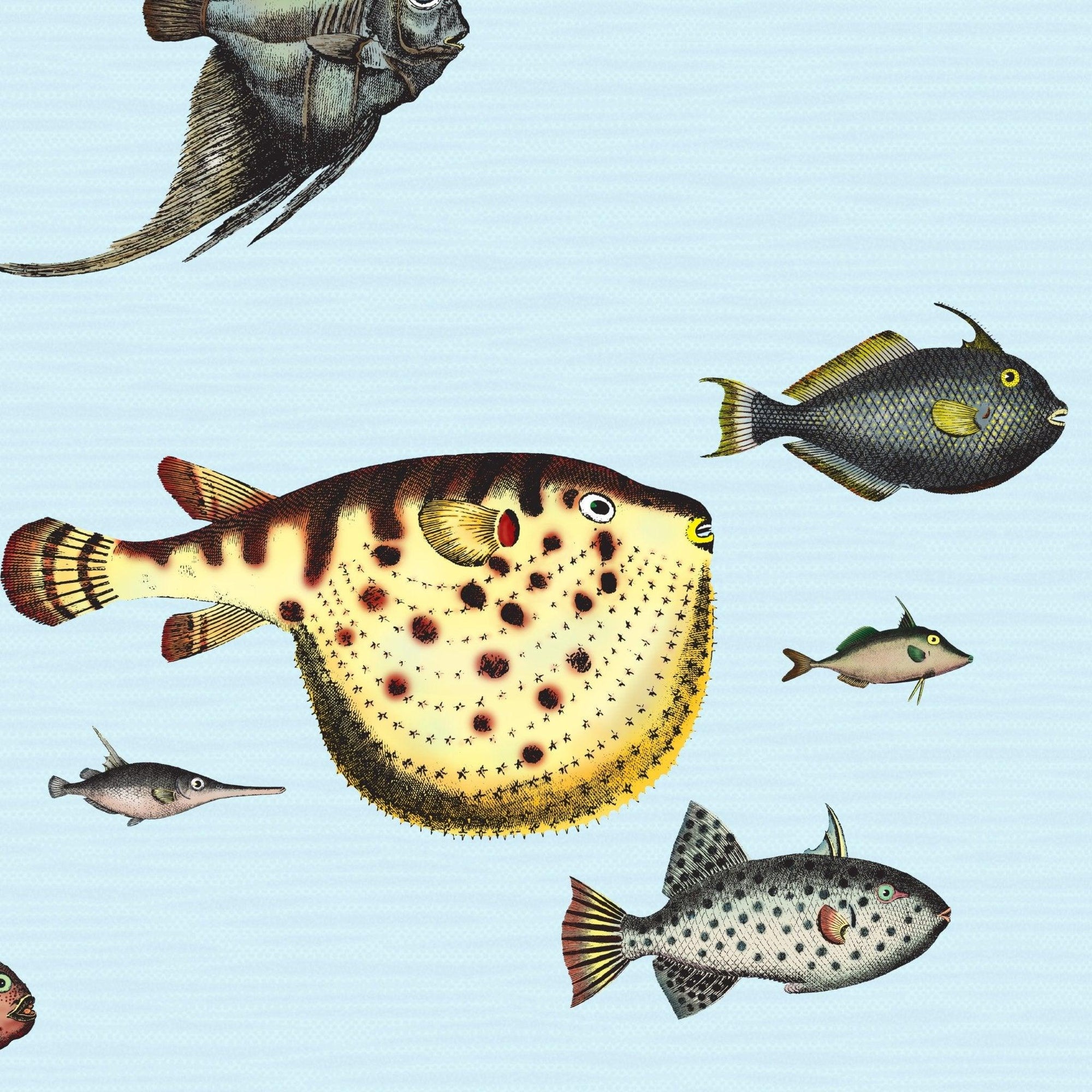 Vintage Fishes Wallpaper – Wallpapers4Beginners